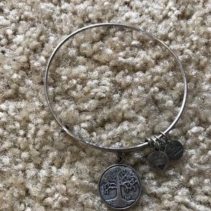 Alex and Ani tree of life charm bracelet.